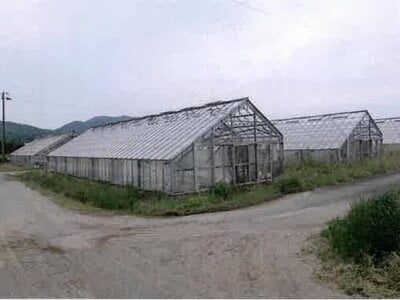 愛知県田原市 農地 87万円の競売物件 #13