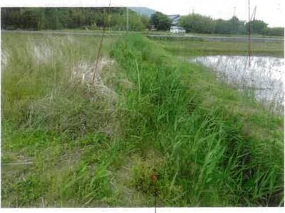 愛知県田原市 農地 87万円の競売物件 #4