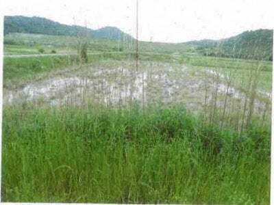 愛知県田原市 農地 87万円の競売物件 #5