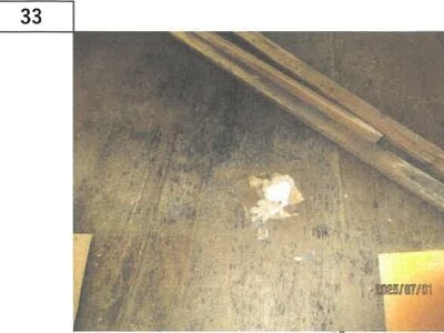 徳島県徳島市 徳島駅 戸建て 1,033万円の競売物件 #27