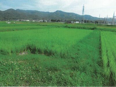 石川県鹿島郡中能登町 良川駅19分 農地 87万円の競売物件 #1