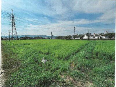 石川県鹿島郡中能登町 良川駅19分 農地 87万円の競売物件 #11