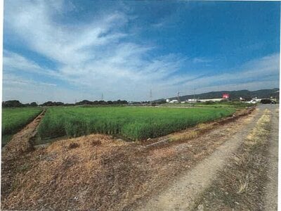 石川県鹿島郡中能登町 良川駅19分 農地 87万円の競売物件 #14