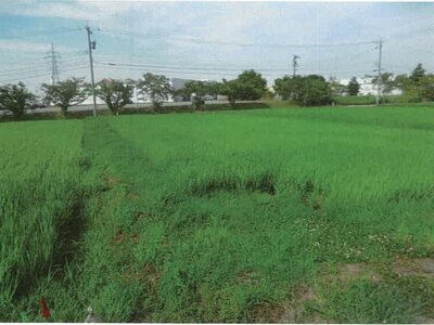 石川県鹿島郡中能登町 良川駅19分 農地 87万円の競売物件 #4