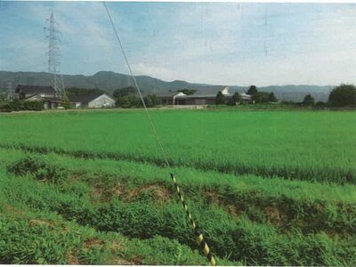 石川県鹿島郡中能登町 良川駅19分 農地 87万円の競売物件 #7