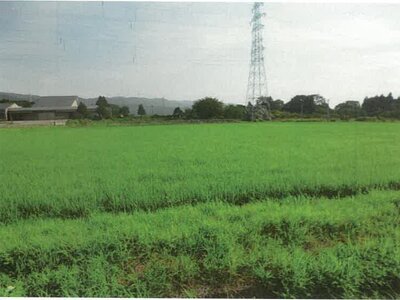 石川県鹿島郡中能登町 良川駅19分 農地 87万円の競売物件 #8