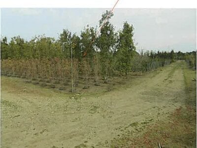 三重県鈴鹿市 加佐登駅 農地 103万円の競売物件 #3