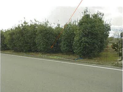 三重県鈴鹿市 加佐登駅 農地 103万円の競売物件 #5