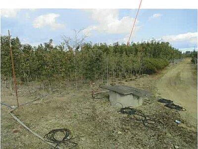 三重県鈴鹿市 加佐登駅 農地 103万円の競売物件 #6