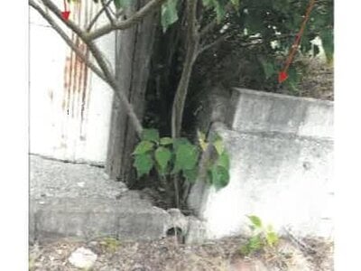 (値下げ) 香川県東かがわ市 讃岐白鳥駅14分 戸建て 206万円の競売物件 #5