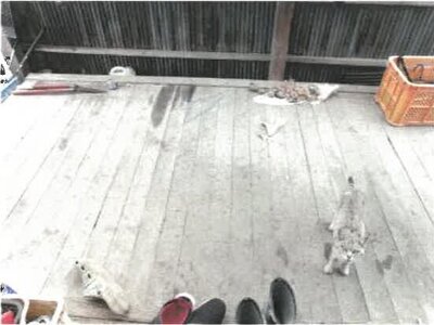 (値下げ) 香川県さぬき市 鶴羽駅1分 戸建て 68万円の競売物件 #23