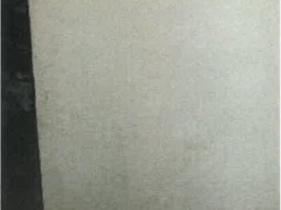 香川県木田郡三木町 学園通り駅18分 戸建て 373万円の競売物件 #17