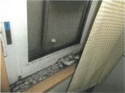 香川県木田郡三木町 学園通り駅18分 戸建て 373万円の競売物件 #19