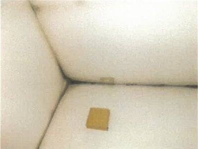 香川県木田郡三木町 学園通り駅18分 戸建て 373万円の競売物件 #20