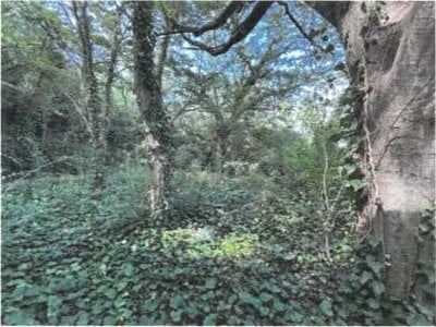 (値下げ) 香川県坂出市 八十場駅15分 戸建て 634万円の競売物件 #20