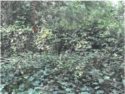 (値下げ) 香川県坂出市 八十場駅15分 戸建て 634万円の競売物件 #21