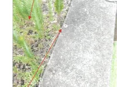 香川県丸亀市 宇多津駅12分 農地 259万円の競売物件 #5