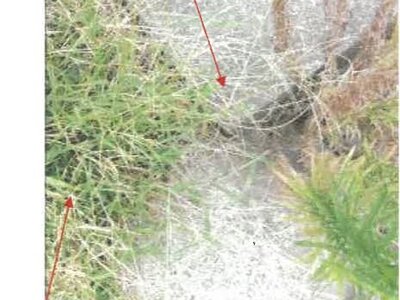 香川県丸亀市 宇多津駅12分 農地 259万円の競売物件 #7