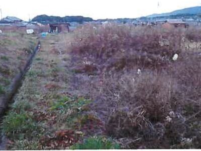 和歌山県橋本市 隅田駅12分 農地 197万円の競売物件 #5