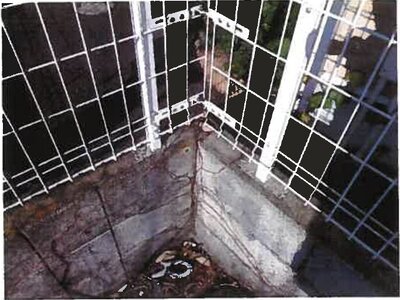 和歌山県橋本市 隅田駅12分 農地 197万円の競売物件 #7