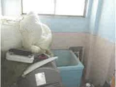 滋賀県彦根市 ひこね芹川駅19分 戸建て 527万円の競売物件 #64