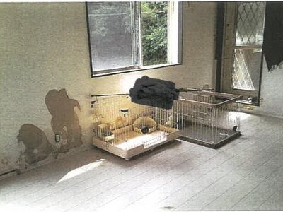 鹿児島県霧島市 嘉例川駅 戸建て 1,080万円の競売物件 #20