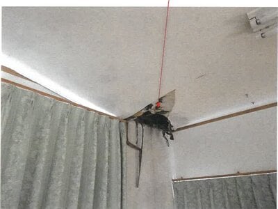 鹿児島県姶良市 姶良駅 戸建て 2,527万円の競売物件 #30