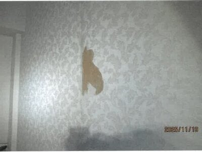 大阪府八尾市 藤井寺駅22分 戸建て 883万円の競売物件 #9