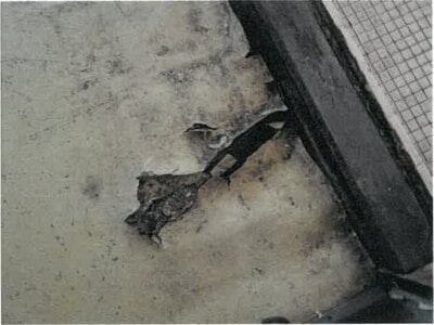 大阪府枚方市 香里園駅17分 戸建て 1,664万円の競売物件 #20