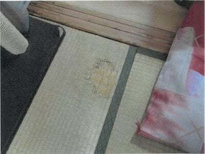 大阪府寝屋川市 香里園駅12分 戸建て 389万円の競売物件 #3