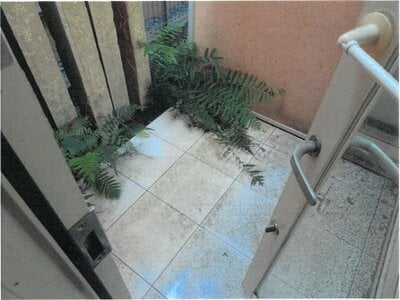 大阪府高槻市 枚方公園駅12分 戸建て 1,539万円の競売物件 #2