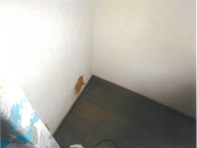 富山県滑川市 中加積駅18分 戸建て 267万円の競売物件 #8