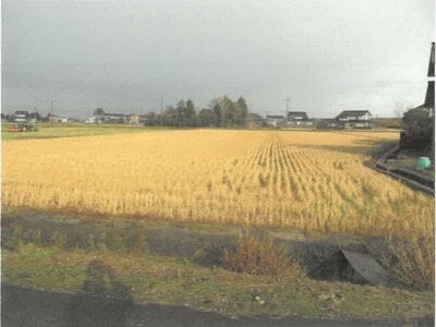 富山県小矢部市 砺波駅 農地 108万円の競売物件 #4