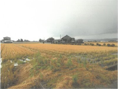 富山県小矢部市 砺波駅 農地 81万円の競売物件 #1