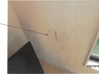 奈良県大和高田市 高田駅8分 戸建て 1,206万円の競売物件 #8