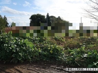 (値下げ) 茨城県小美玉市 高浜駅 土地 12万円の国税庁公売物件 #1