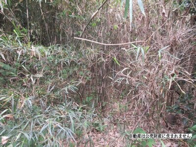 (値下げ) 神奈川県中郡大磯町 大磯駅 土地 21万円の国税庁公売物件 #2