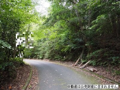 静岡県田方郡函南町 大場駅21分 土地 60万円の国税庁公売物件 #2