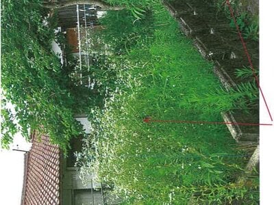 岐阜県中津川市 中津川駅16分 戸建て 192万円の競売物件 #2