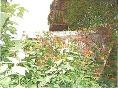 静岡県沼津市 沼津駅11分 戸建て 1,980万円の競売物件 #19