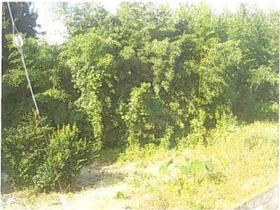 (値下げ) 静岡県賀茂郡東伊豆町 伊豆稲取駅7分 戸建て 241万円の競売物件 #11