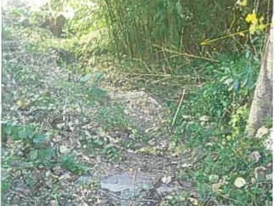 (値下げ) 静岡県賀茂郡東伊豆町 伊豆稲取駅7分 戸建て 241万円の競売物件 #6