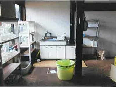 熊本県阿蘇郡南阿蘇村 中松駅16分 戸建て 1,367万円の競売物件 #12