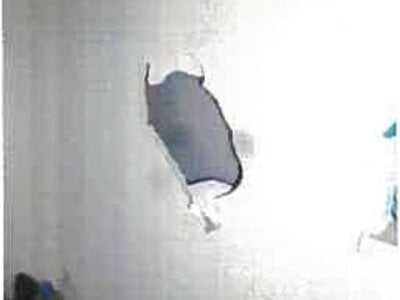 和歌山県有田市 初島駅20分 戸建て 697万円の競売物件 #14