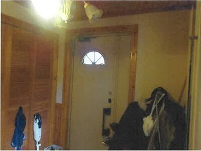 岩手県盛岡市 盛岡駅 戸建て 580万円の競売物件情報 #3