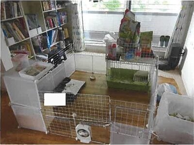 (値下げ) 岩手県岩手郡雫石町 雫石駅 戸建て 946万円の競売物件情報 #10