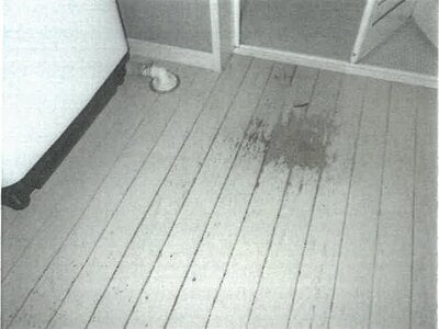 大阪府茨木市 沢良宜駅25分 戸建て 1,339万円の競売物件情報 #7