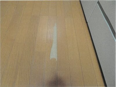 大阪府枚方市 藤阪駅25分 戸建て 786万円の競売物件情報 #10