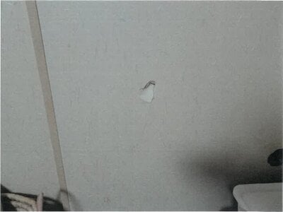 大阪府枚方市 藤阪駅25分 戸建て 786万円の競売物件情報 #7