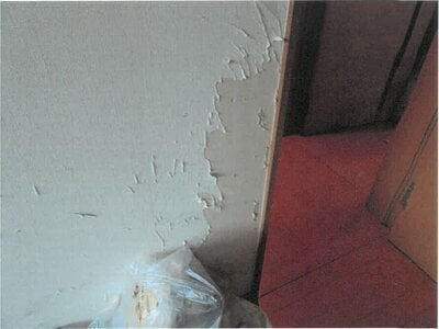 大阪府寝屋川市 萱島駅20分 戸建て 769万円の競売物件情報 #10